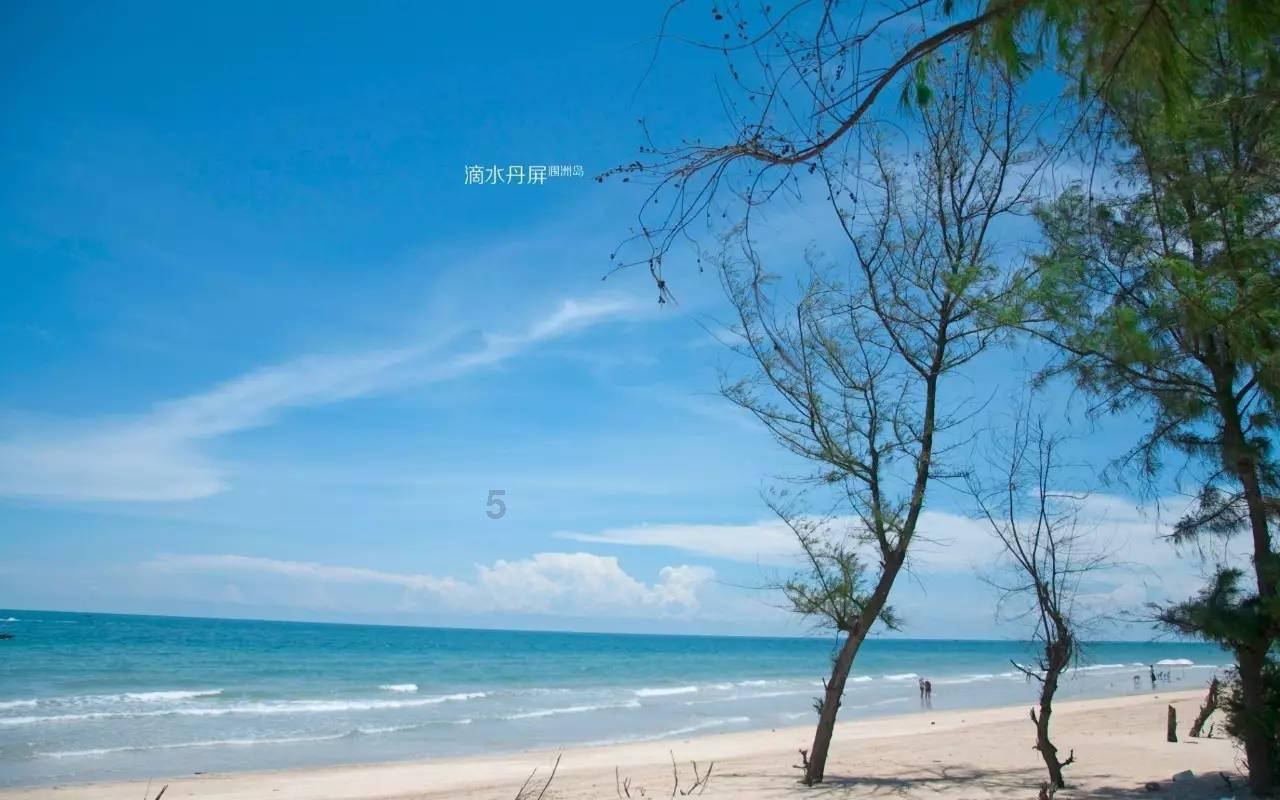 卑鄙的小妖精